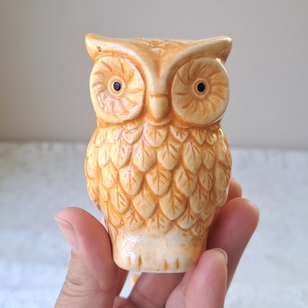 Vintage Pair MCM Handpainted Classic Ceramic Owl Salt & Pepper Shakers Pottery